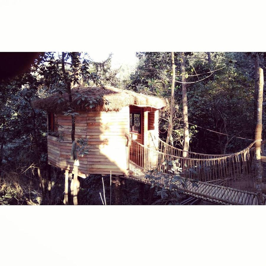 Bunjungle Adventures Hotel Katmandu Kültér fotó